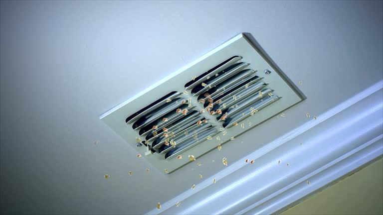 Best Ductwork Cleaning Services  in Slidell, LA